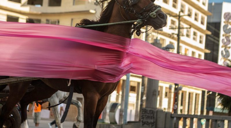 Jonathas de Andrade - O Levante