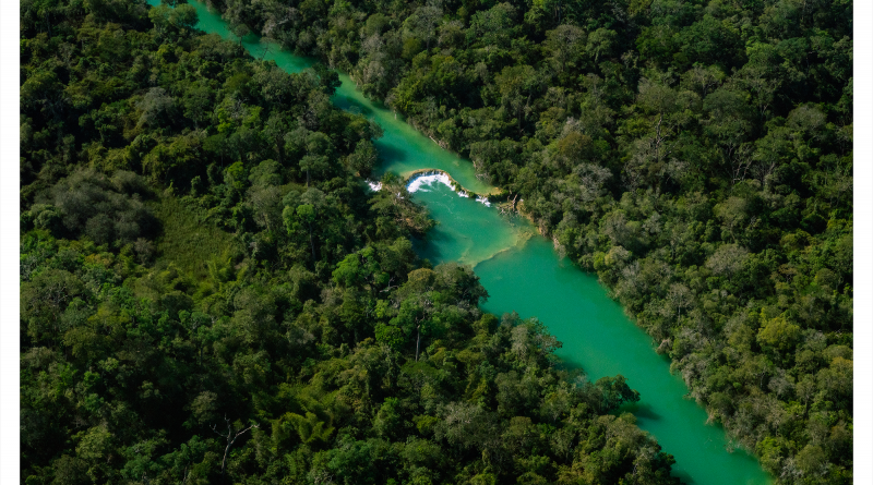 Pantanal, João Farkas, Revista Raiz