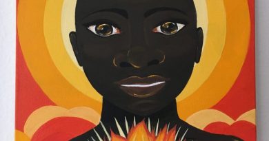 Salão Paulista de Arte Naïf - Revista Raiz