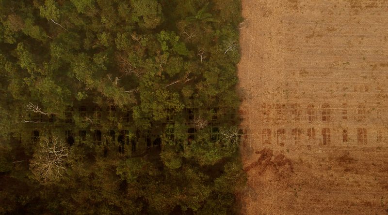 Territórios de Resistência - Florestanias, Sertanias, Ribeirias