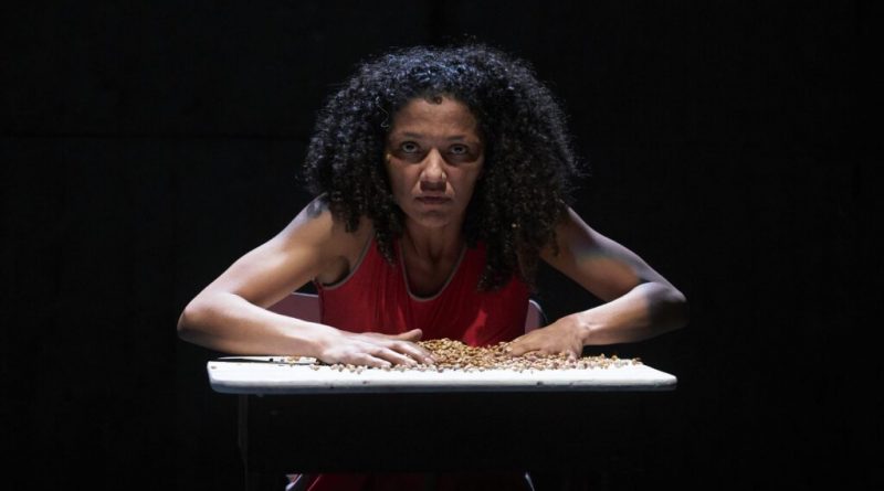 Dalma Regia em foto de Weslei Barba - Divulgação