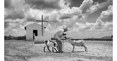 IMS lança “Testemunha Ocular” um site dedicado ao fotojornalismo brasileiro João Butão e seus cabritos. Canudos, BA, 1994. Crédito: Evandro Teixeira / Acervo Instituto Moreira Salles
