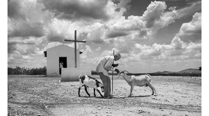 João Butão e seus cabritos. Canudos, BA, 1994. Crédito: Evandro Teixeira / Acervo Instituto Moreira Salles