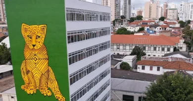 Museu das Culturas Indígenas está localizado no Complexo Baby Barione — Foto: Instagram @museudasculturasindigenas / Reprodução