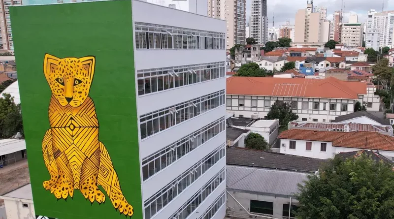 Museu das Culturas Indígenas está localizado no Complexo Baby Barione — Foto: Instagram @museudasculturasindigenas / Reprodução