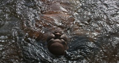 Frame do filme Exu de Thiago Zanato - Divulgação