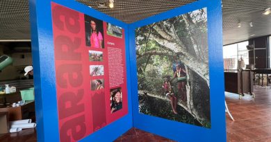 Mostra"Juruna e Arara: Terra, Água e Vida na Volta Grande do Xingu" - Divulgação
