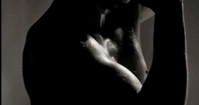 O Rei Sebastião - Revista Raiz