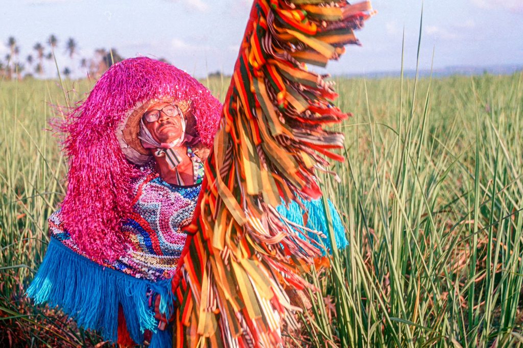 Maracatu - A Magia dos Canaviais