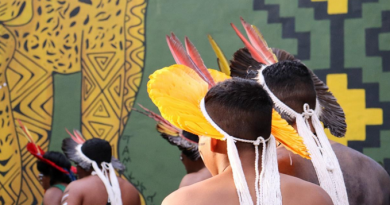 Museu das Culturas Indígenas - divulgação