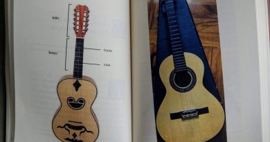 História e Cultura no Som da Viola