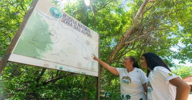 NCC: Histórias de Mudança