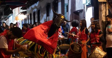 FOLIA DO BOI DA MANTA DE SÃO BARTOLOMEU/MG - divulgação