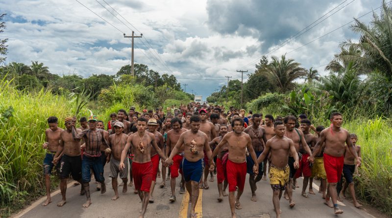 Rop Cateh Alma pintada em Terra de Encantaria dos Akroá Gamella (Território Indígena Taquaritiua, MA, Brasil) Em colaboração com Gê Viana (Santa Luiza, MA, 1986)