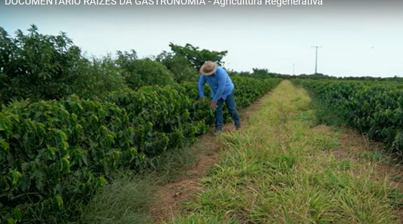 Frame do Docmentário Raízes da Gastronomia