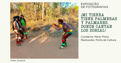 ¡Mi tierra tiene palmeras y palmares!