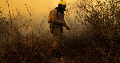 "Sinfonia da Sobrevivência" - Michel Coeli