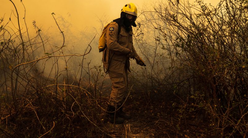"Sinfonia da Sobrevivência" - Michel Coeli