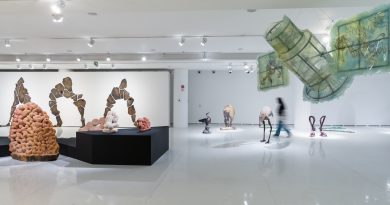 Vista do 38º Panorama da Arte Brasileira_ Mil graus. Foto_ Estúdio em Obra