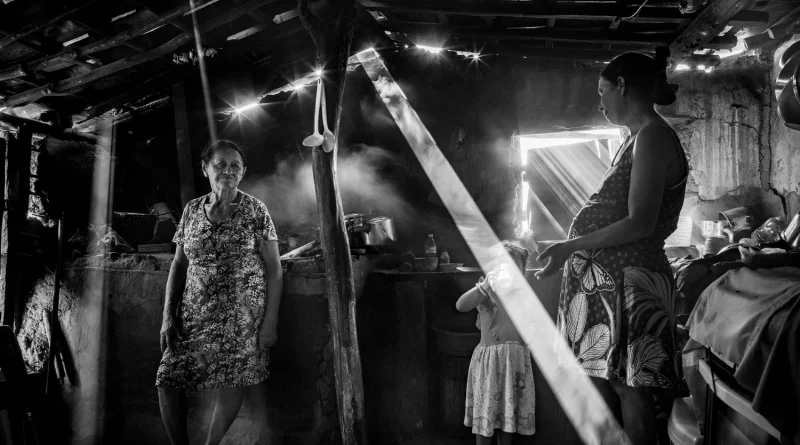 ÁGUA BRASIL de Érico Hiller