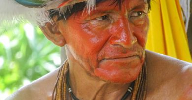 Festival dos Povos da Floresta