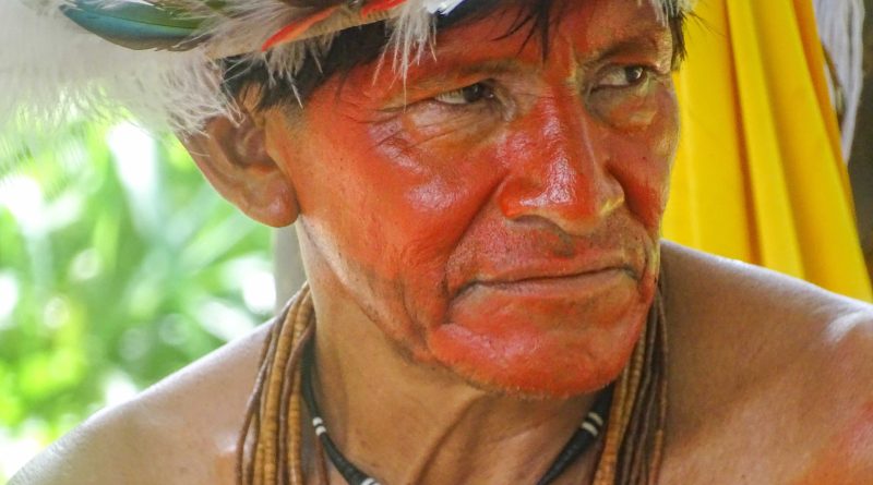 Festival dos Povos da Floresta