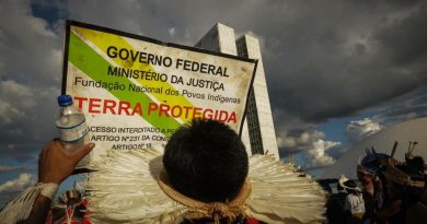 Foto @webwerdacruz - reprodução APIB