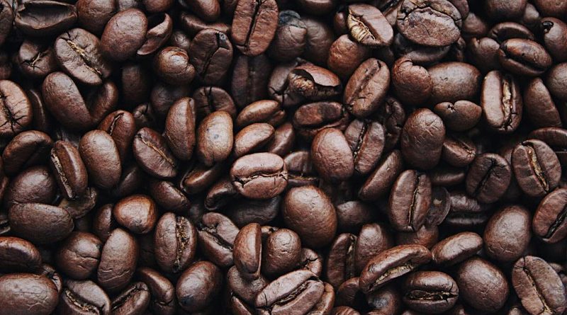Rotas do Café - reprodução