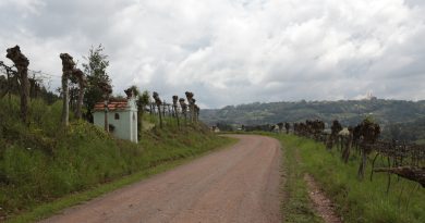 Capela Santo Antônio, na Linha 80 da Leopoldina - Monte Belo - Crédito Fabiano Mazotti