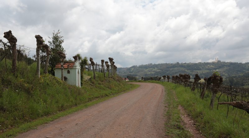 Capela Santo Antônio, na Linha 80 da Leopoldina - Monte Belo - Crédito Fabiano Mazotti