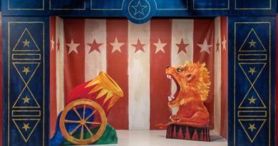 O Circo no Brasil - Rodrigo Reis - divulgação