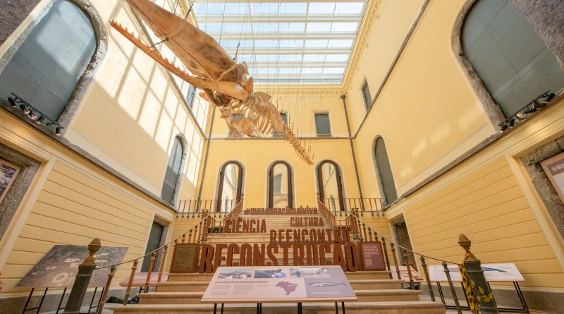Entre Gigantes - foto Felipe Cohen_PMNV - divulgação