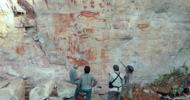 Pesquisadores estudam milhares de pictogramas na Amazônia colombiana (Crédito: Divulgação/Curta!)