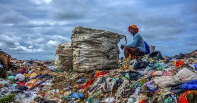 O AMBIENTE IMPACTADO PELO LIXO NÃO COLORE (Crédito: Raimundo Freitas Aragão)