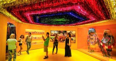 Festas, Sambas e Outros Carnavais - Museu do Pontal - divulgação