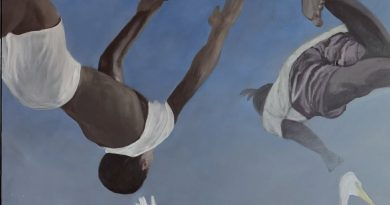 *Reprodução de obra da Série Dialética Do Salto, de Matheus Abu