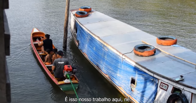 Açaí Nativo: Fruto da Amazônia