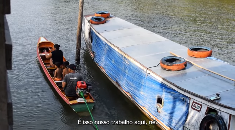 Açaí Nativo: Fruto da Amazônia