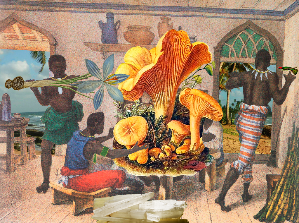 Cultivo de cogumelos (2020), Série “Atualizações traumáticas de Debret”, Gê Viana. Acervo da artista_Cortesia da Lima Galeria