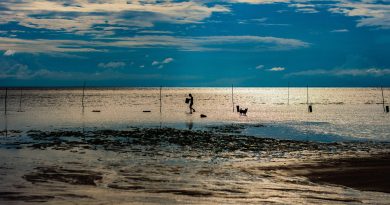 ObraArtista_Divulgação