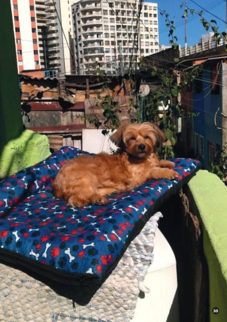 Foto Famílias - divulgação