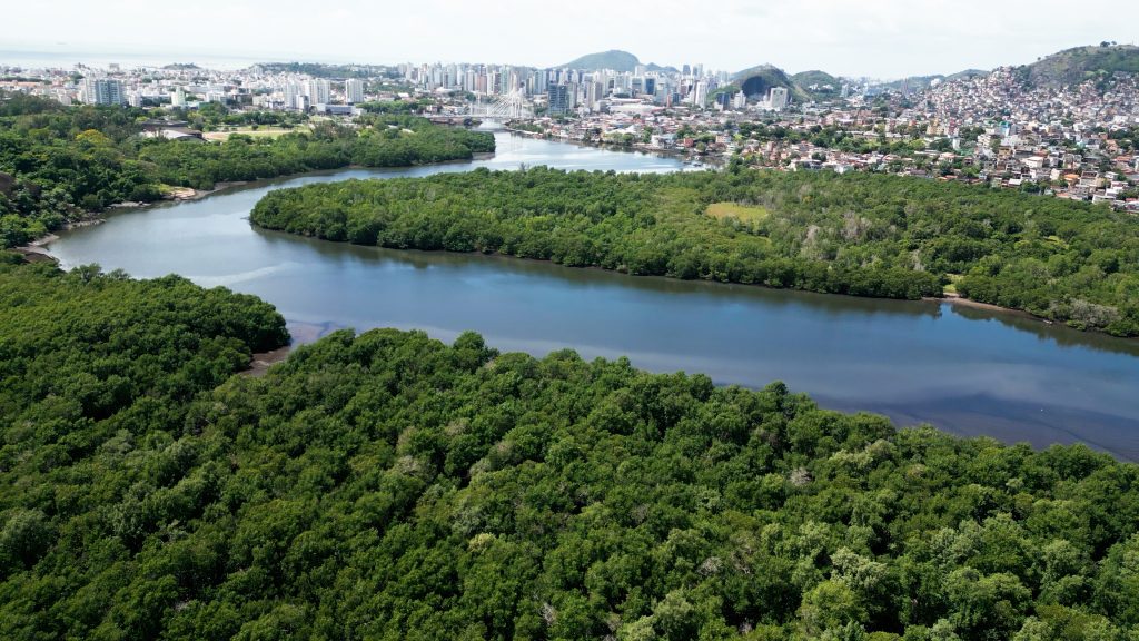 Cena do documentário Impacta Oceano: Mangue é Vida