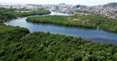 Cena do documentário Impacta Oceano: Mangue é Vida