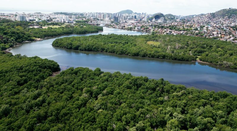 Cena do documentário Impacta Oceano: Mangue é Vida