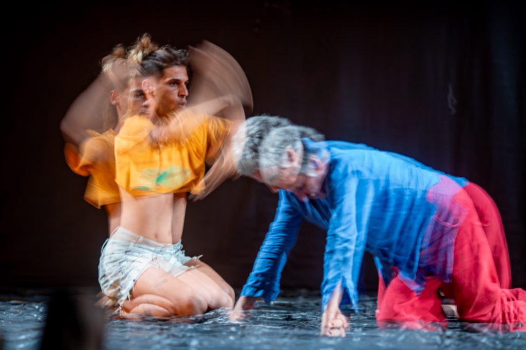 Cabeça de Toco_Foto de Caio Fantasmao