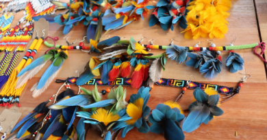 Foto acervo MCI - divulgação