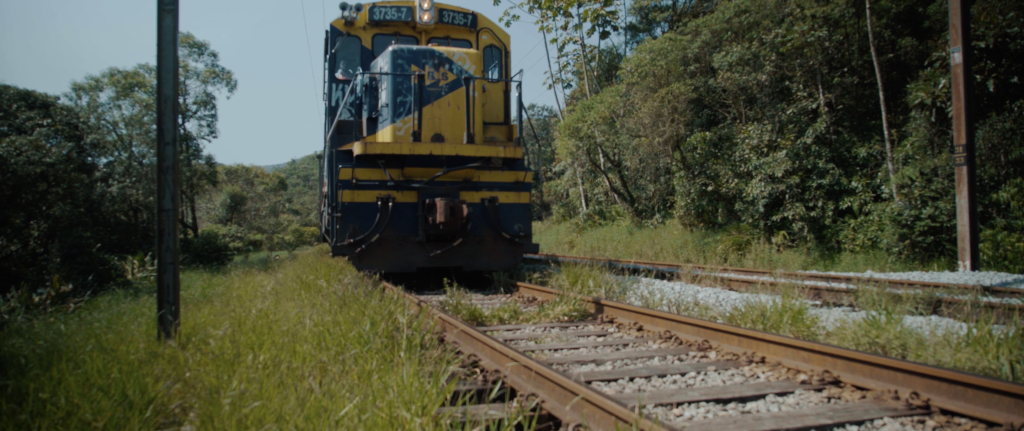 divulgação TV Cultura