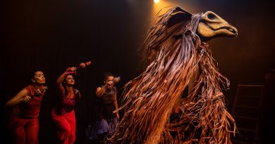 Boi Mansinho - Grupo Clariô - foto de Sérgio Fernandes