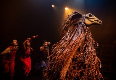 Boi Mansinho - Grupo Clariô - foto de Sérgio Fernandes