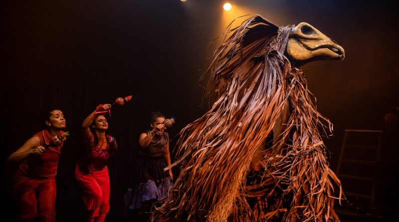 Boi Mansinho - Grupo Clariô - foto de Sérgio Fernandes